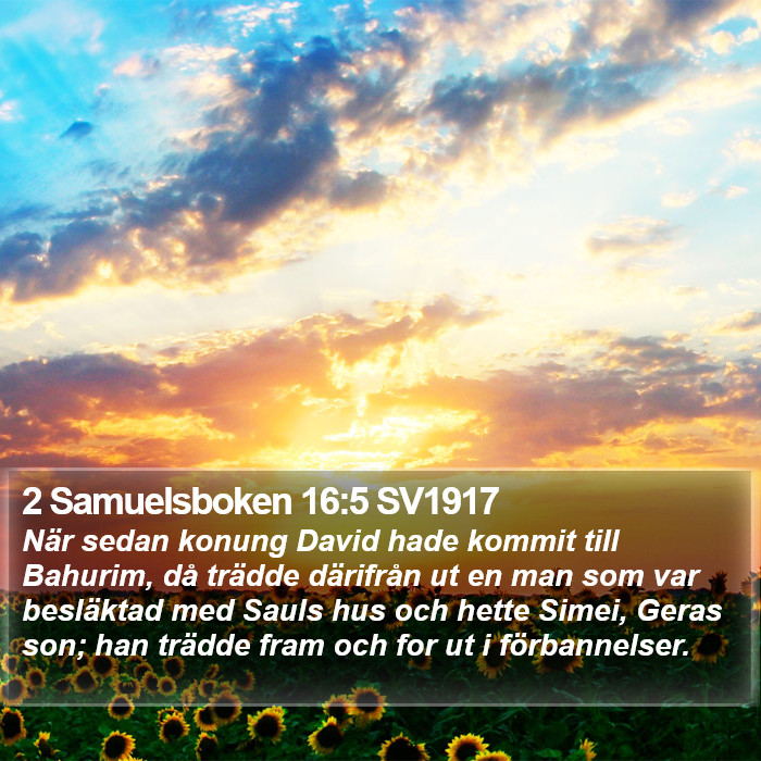 2 Samuelsboken 16:5 SV1917 Bible Study