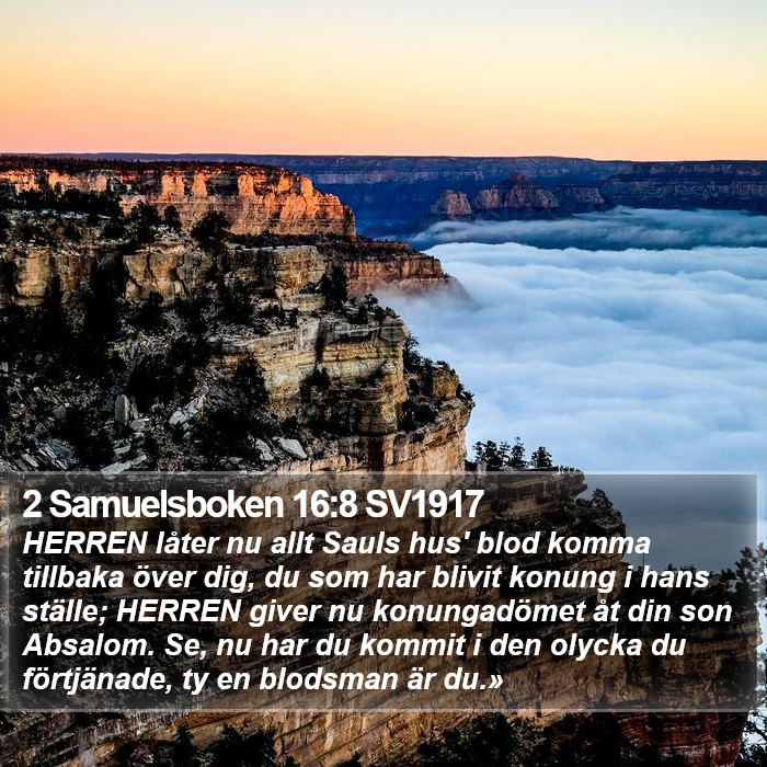 2 Samuelsboken 16:8 SV1917 Bible Study