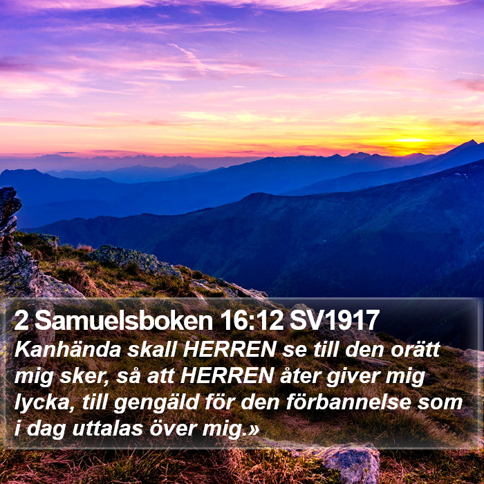 2 Samuelsboken 16:12 SV1917 Bible Study