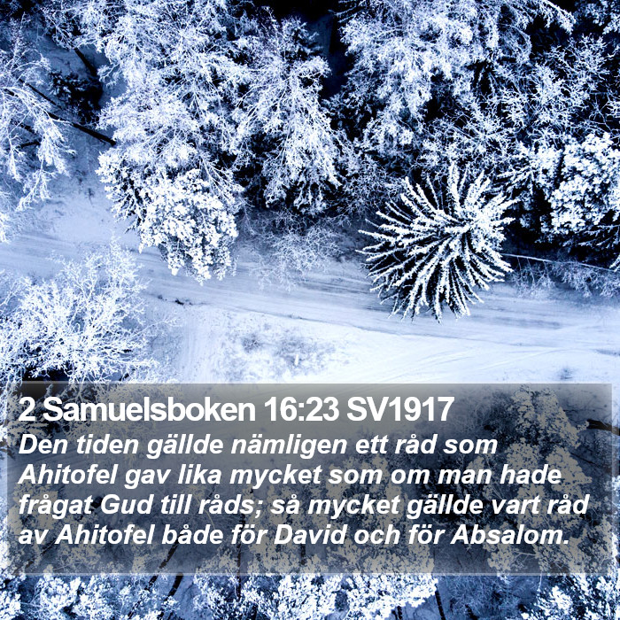 2 Samuelsboken 16:23 SV1917 Bible Study