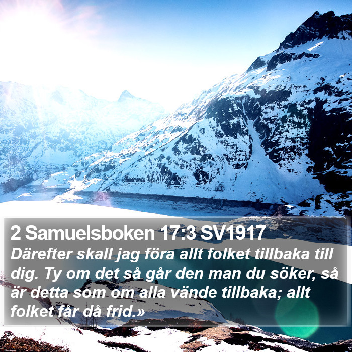 2 Samuelsboken 17:3 SV1917 Bible Study