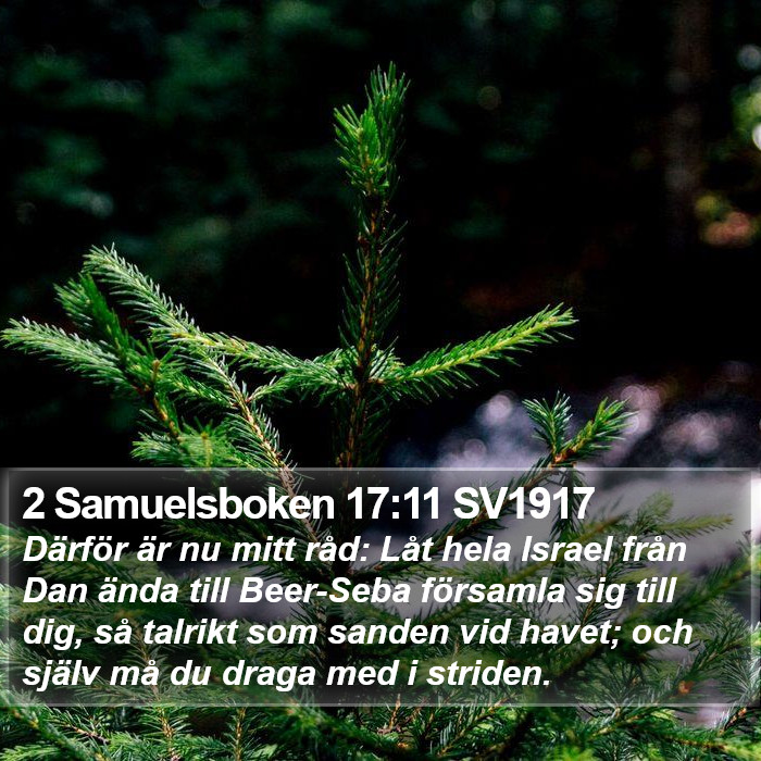 2 Samuelsboken 17:11 SV1917 Bible Study