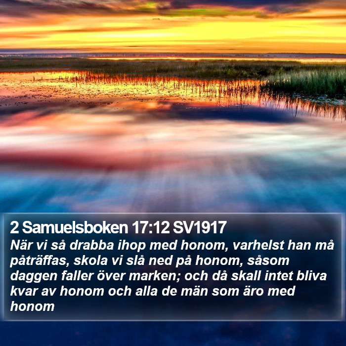 2 Samuelsboken 17:12 SV1917 Bible Study