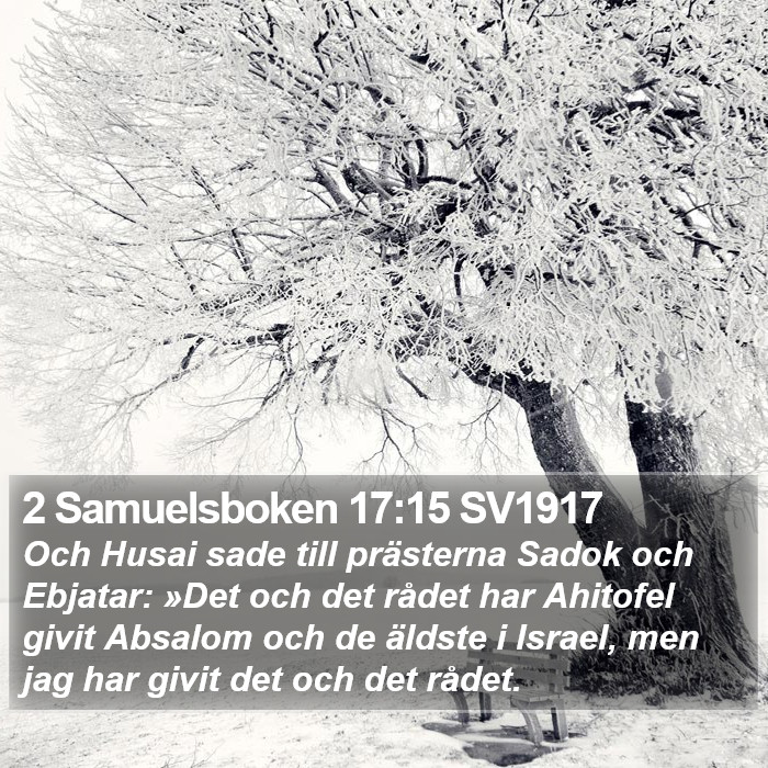 2 Samuelsboken 17:15 SV1917 Bible Study