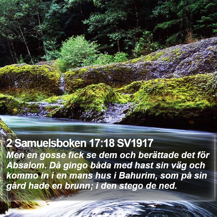 2 Samuelsboken 17:18 SV1917 Bible Study