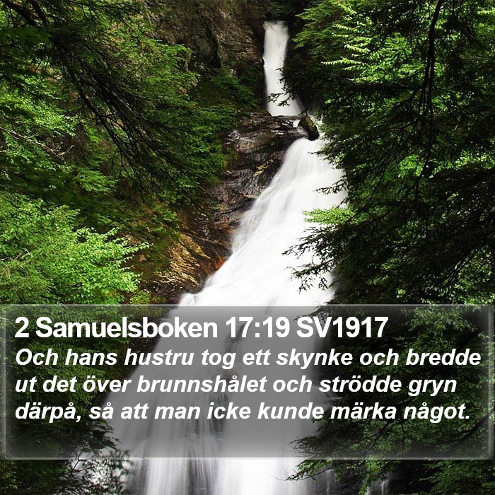 2 Samuelsboken 17:19 SV1917 Bible Study