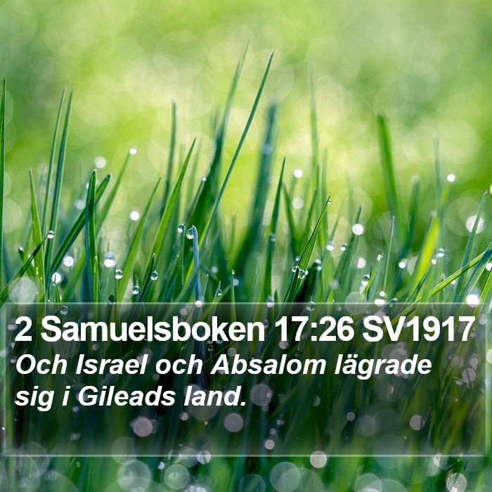 2 Samuelsboken 17:26 SV1917 Bible Study