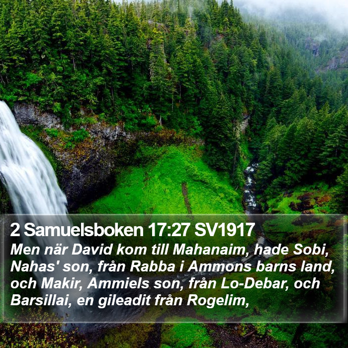 2 Samuelsboken 17:27 SV1917 Bible Study