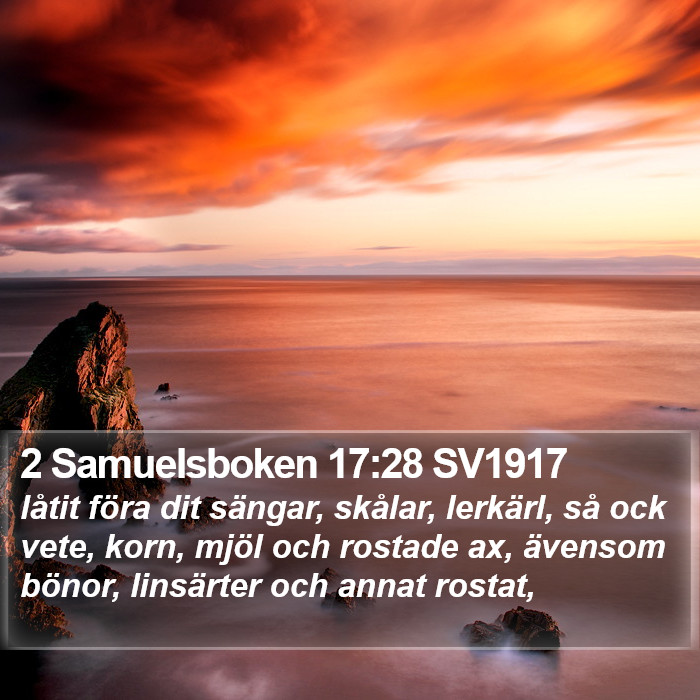 2 Samuelsboken 17:28 SV1917 Bible Study