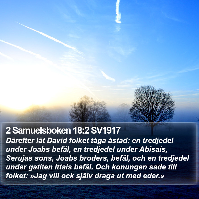 2 Samuelsboken 18:2 SV1917 Bible Study