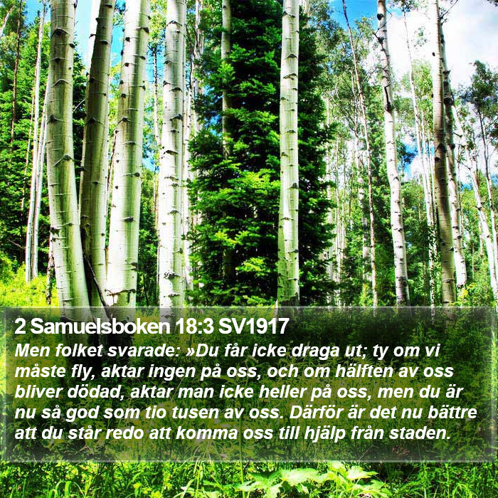 2 Samuelsboken 18:3 SV1917 Bible Study