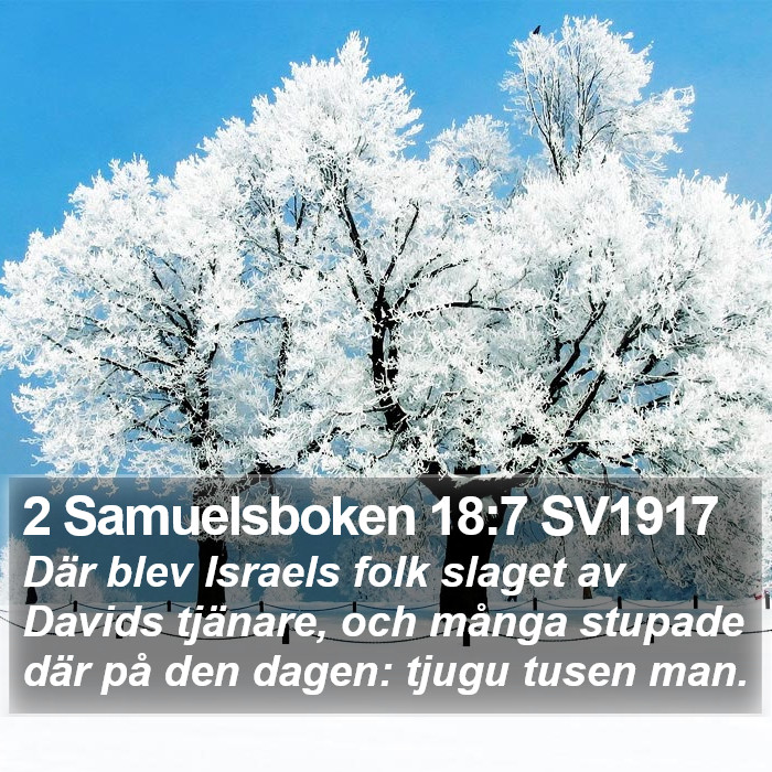 2 Samuelsboken 18:7 SV1917 Bible Study