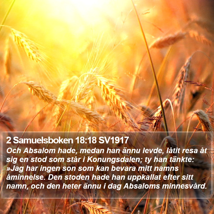2 Samuelsboken 18:18 SV1917 Bible Study