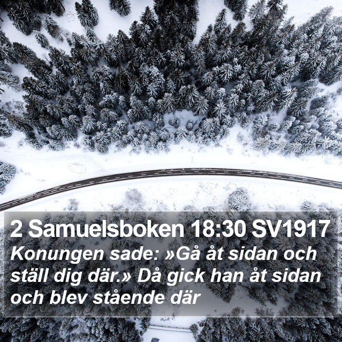 2 Samuelsboken 18:30 SV1917 Bible Study