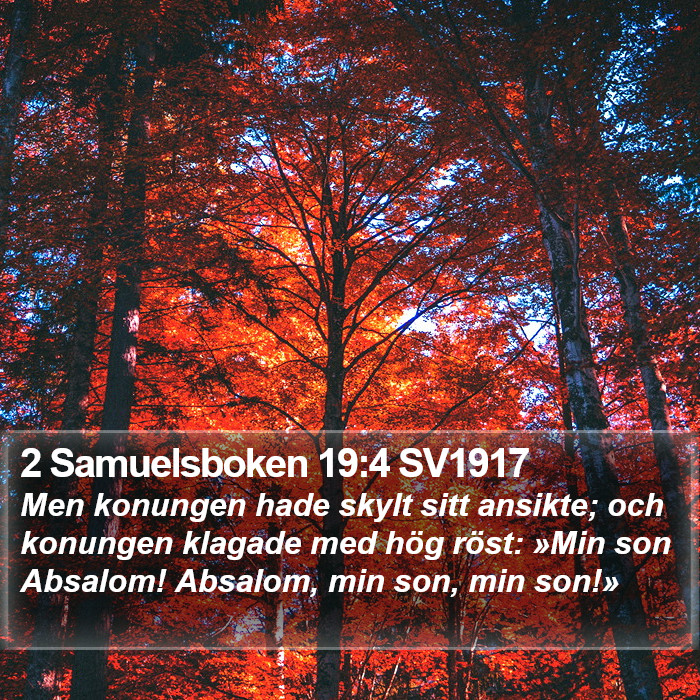 2 Samuelsboken 19:4 SV1917 Bible Study