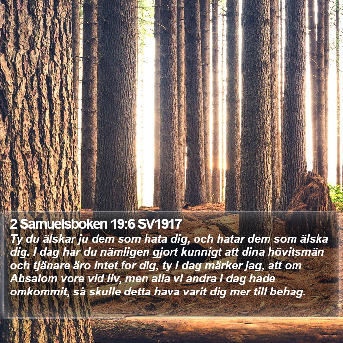 2 Samuelsboken 19:6 SV1917 Bible Study