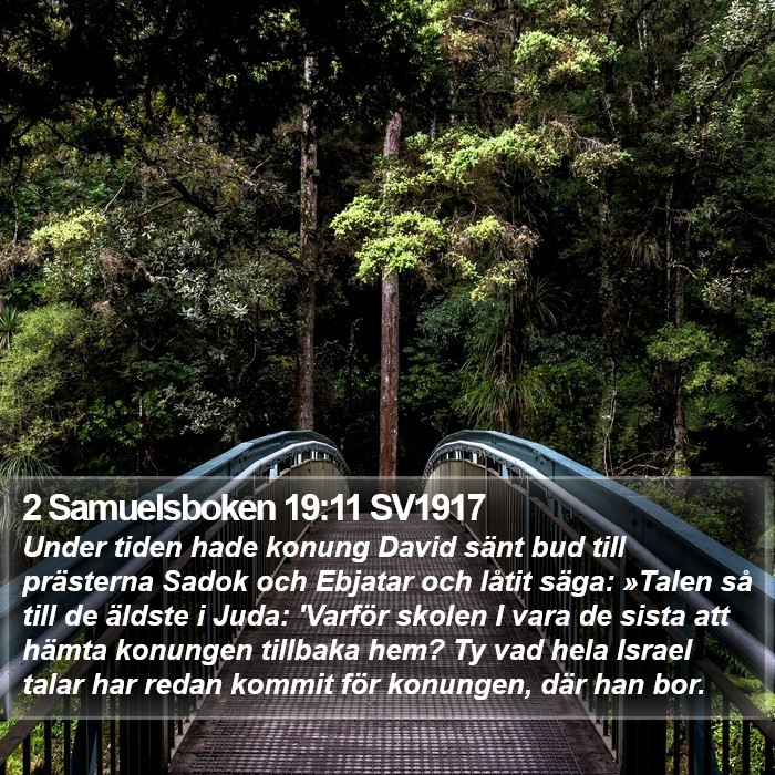 2 Samuelsboken 19:11 SV1917 Bible Study