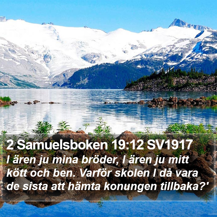 2 Samuelsboken 19:12 SV1917 Bible Study