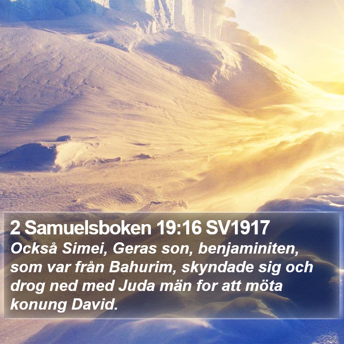 2 Samuelsboken 19:16 SV1917 Bible Study