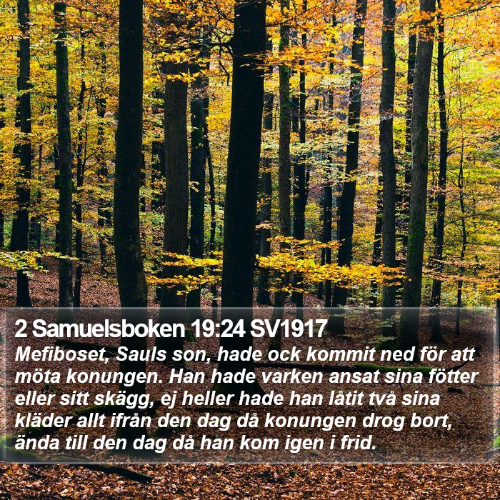 2 Samuelsboken 19:24 SV1917 Bible Study