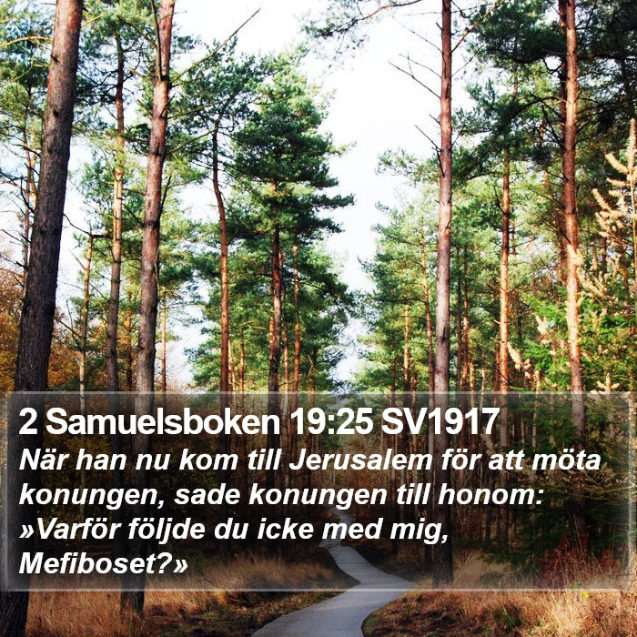 2 Samuelsboken 19:25 SV1917 Bible Study