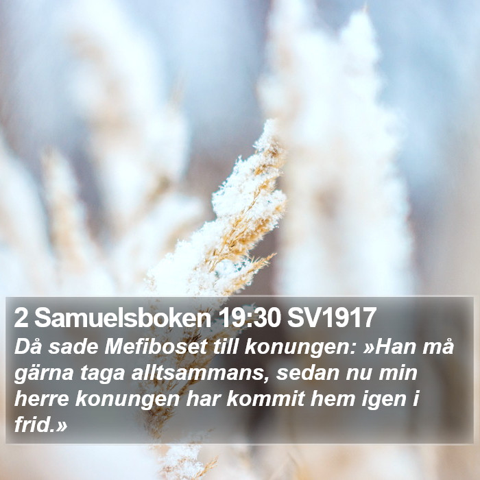 2 Samuelsboken 19:30 SV1917 Bible Study