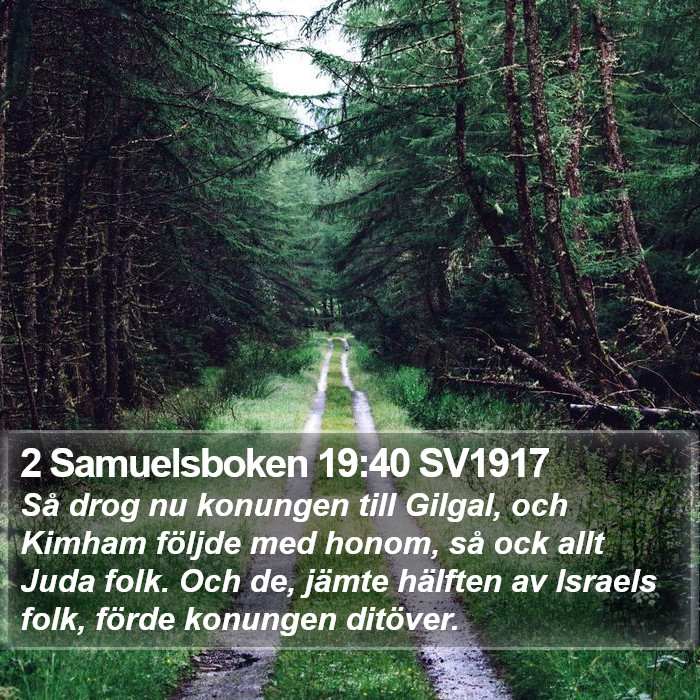 2 Samuelsboken 19:40 SV1917 Bible Study