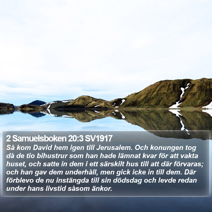 2 Samuelsboken 20:3 SV1917 Bible Study