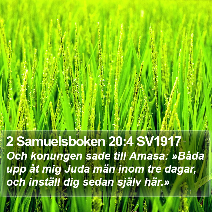 2 Samuelsboken 20:4 SV1917 Bible Study