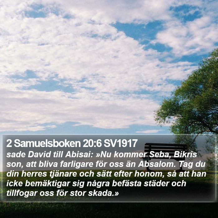 2 Samuelsboken 20:6 SV1917 Bible Study