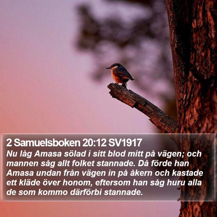 2 Samuelsboken 20:12 SV1917 Bible Study