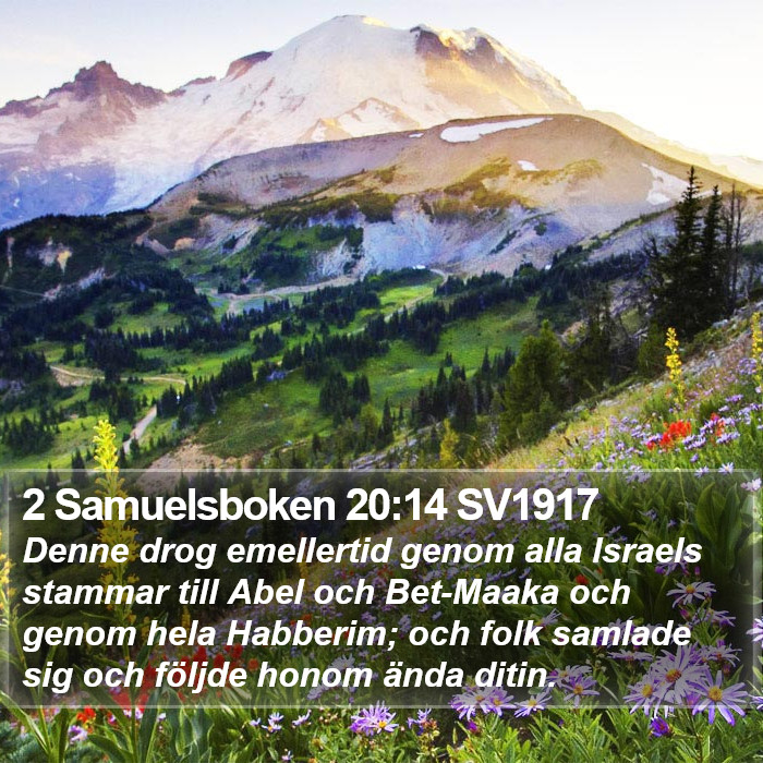 2 Samuelsboken 20:14 SV1917 Bible Study