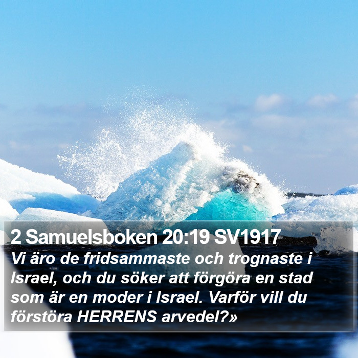 2 Samuelsboken 20:19 SV1917 Bible Study