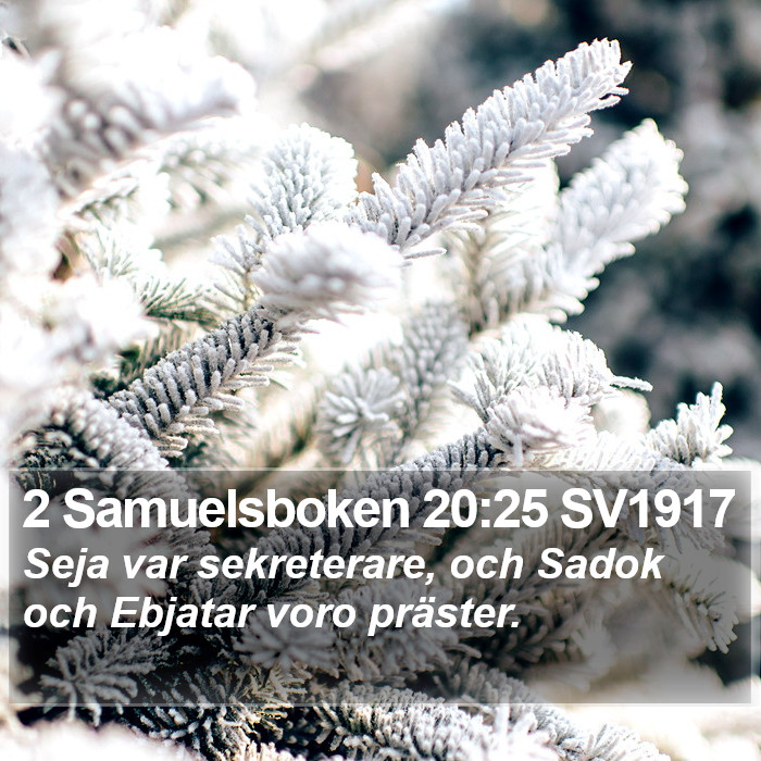 2 Samuelsboken 20:25 SV1917 Bible Study