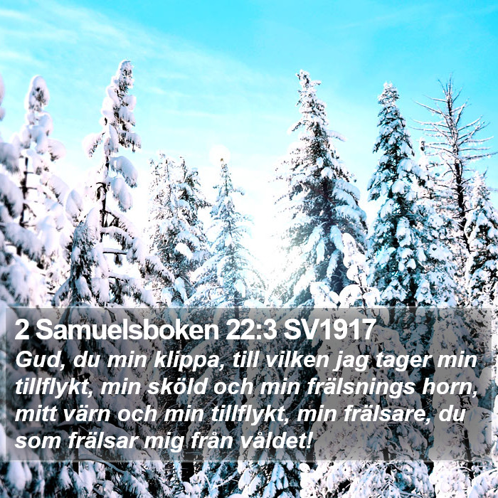 2 Samuelsboken 22:3 SV1917 Bible Study
