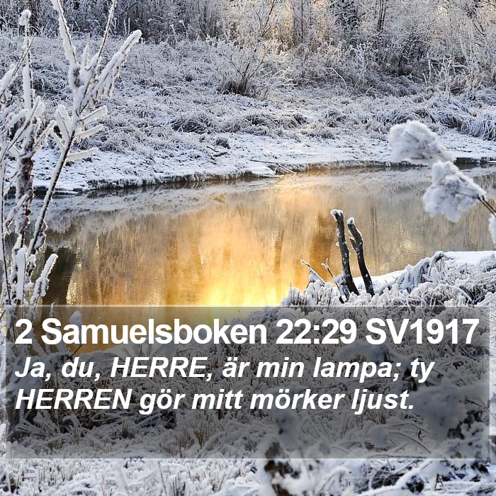 2 Samuelsboken 22:29 SV1917 Bible Study