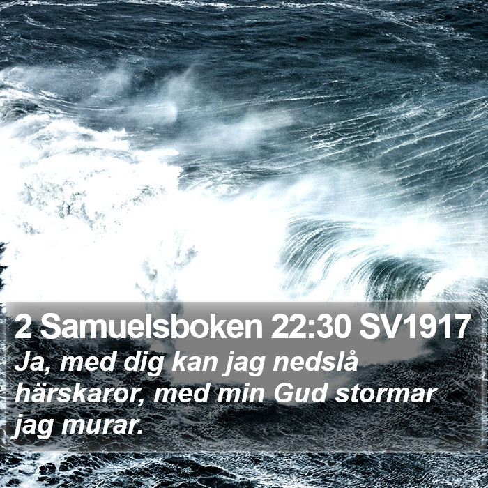 2 Samuelsboken 22:30 SV1917 Bible Study