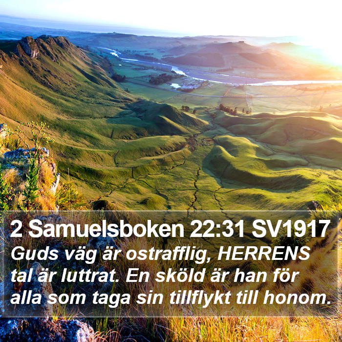 2 Samuelsboken 22:31 SV1917 Bible Study