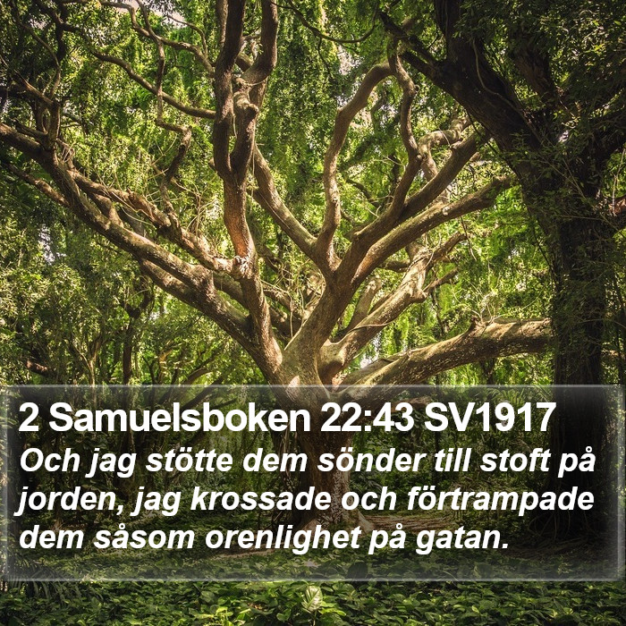 2 Samuelsboken 22:43 SV1917 Bible Study