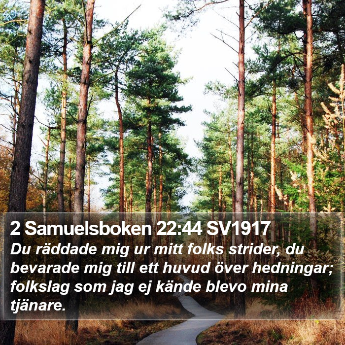 2 Samuelsboken 22:44 SV1917 Bible Study
