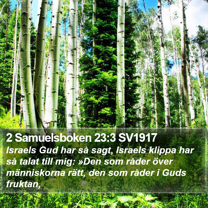 2 Samuelsboken 23:3 SV1917 Bible Study