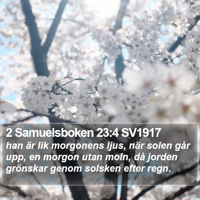 2 Samuelsboken 23:4 SV1917 Bible Study