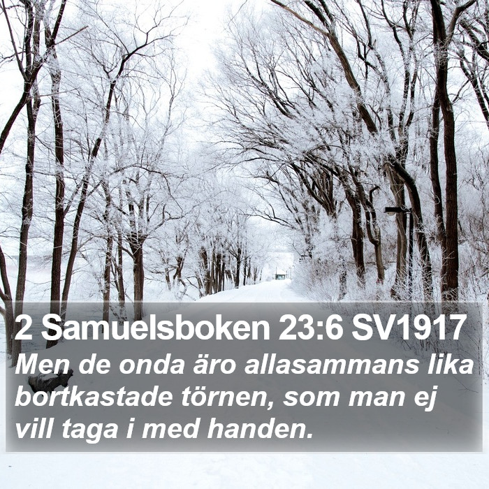 2 Samuelsboken 23:6 SV1917 Bible Study