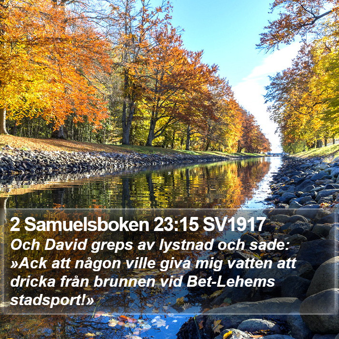 2 Samuelsboken 23:15 SV1917 Bible Study