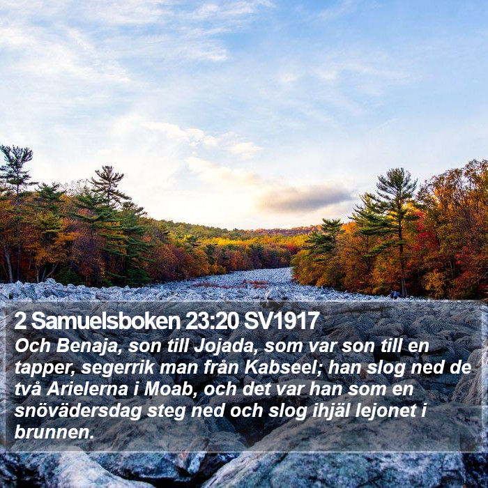 2 Samuelsboken 23:20 SV1917 Bible Study