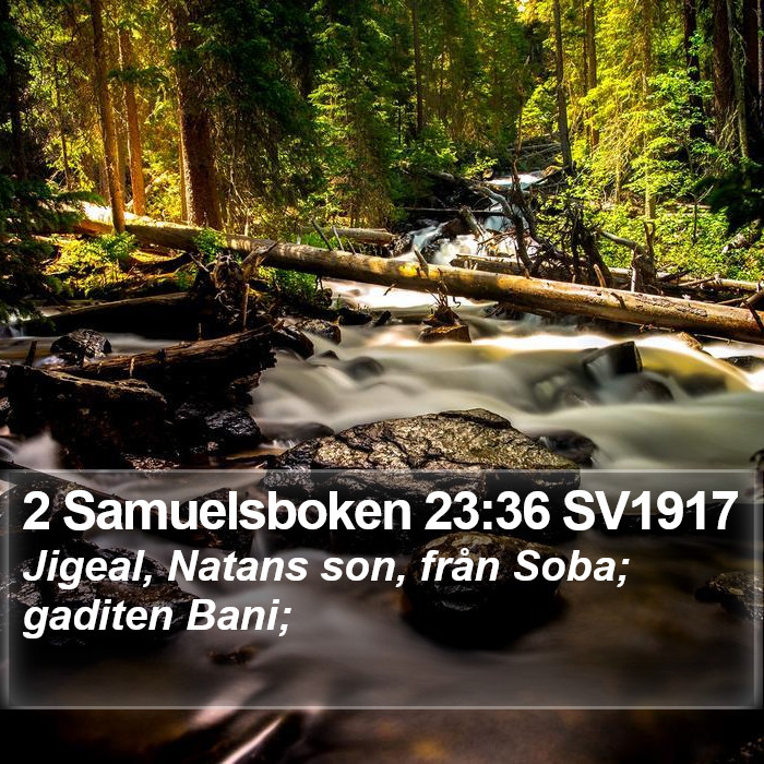2 Samuelsboken 23:36 SV1917 Bible Study