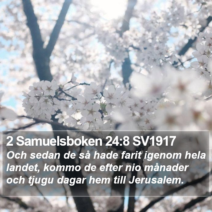 2 Samuelsboken 24:8 SV1917 Bible Study