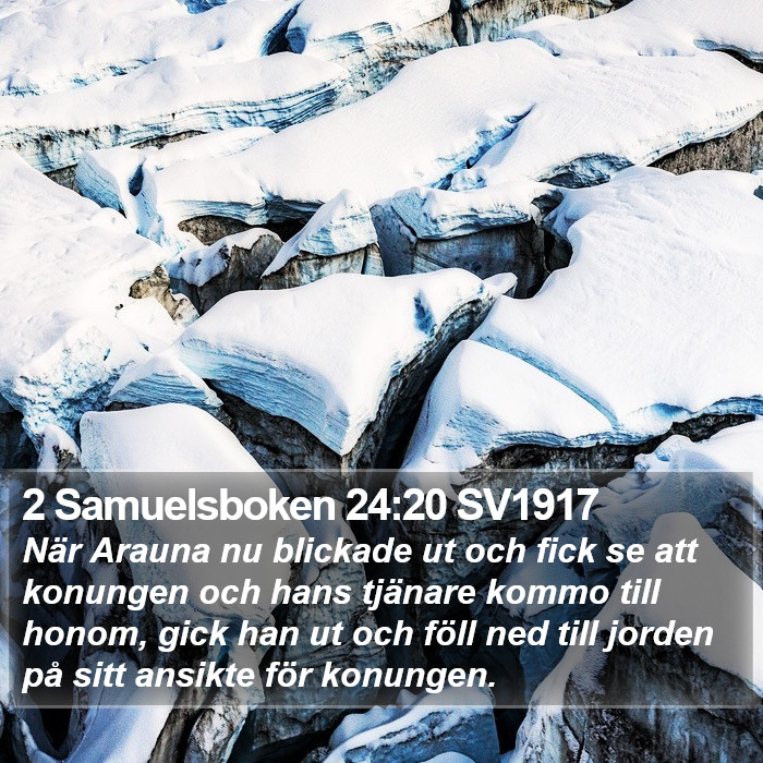 2 Samuelsboken 24:20 SV1917 Bible Study