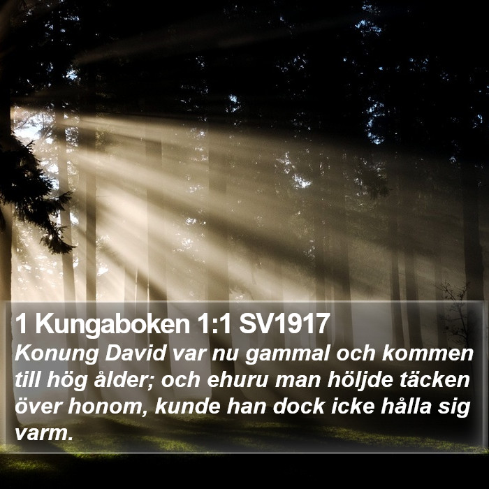 1 Kungaboken 1:1 SV1917 Bible Study