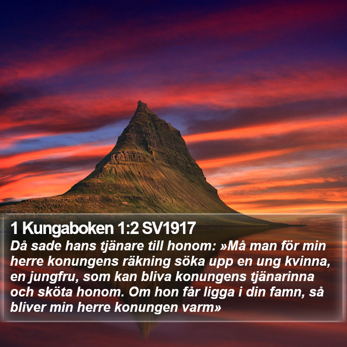 1 Kungaboken 1:2 SV1917 Bible Study